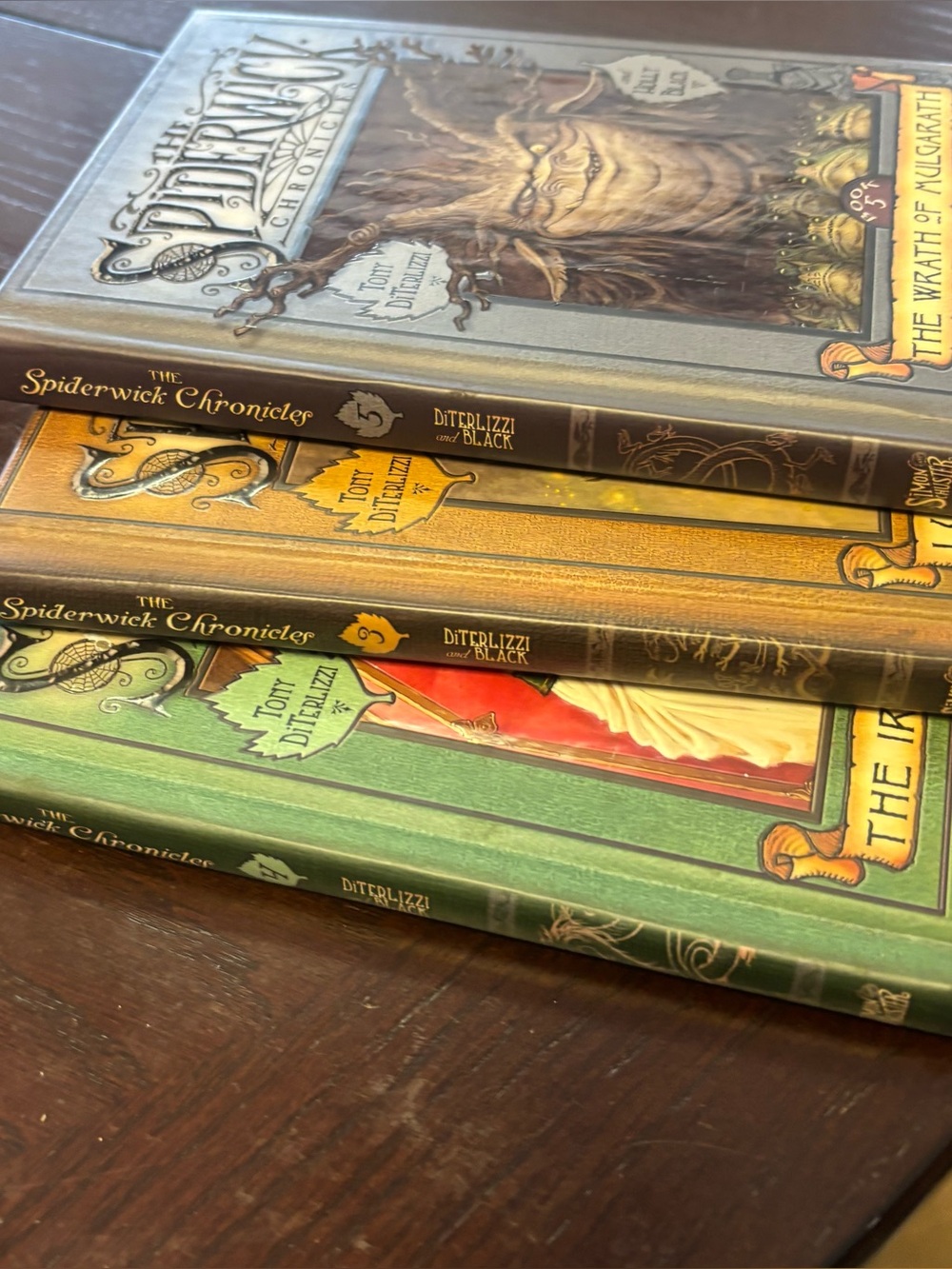 The Spiderwick Chronicles Hardcover Book Set - Multicolor